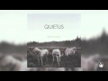 Foxing - Quietus (Audio) 