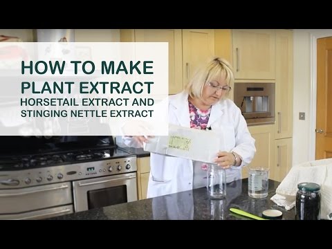 How to make plant extract