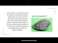 3c GROUP5 WHY TURTLE HAVE A LONGEVITY