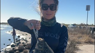 FLOUNDER CHIPS!! Non stop action Gulp on a Jig Head #flounder #galvestonfishing #fishingadventure