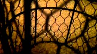 Cocteau Twins - Treasure Hiding