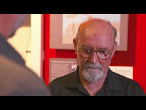 Uncovering Australia's Pearl Harbour at Darwin Military Museum - The Bombing of Darwin