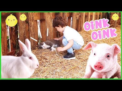 Una giornata in fattoria con Dami, quanti animali!