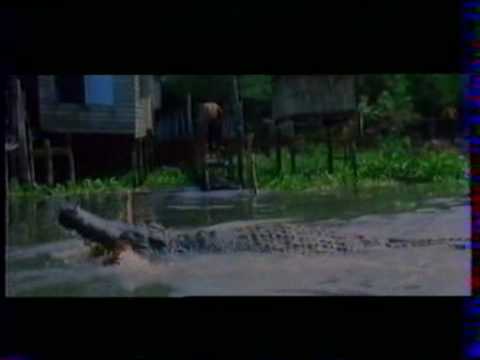 Crocodile Fury - Tomas Tang (As Ted Kingsbrook) - 1988