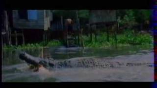 Crocodile Fury (1988) Video