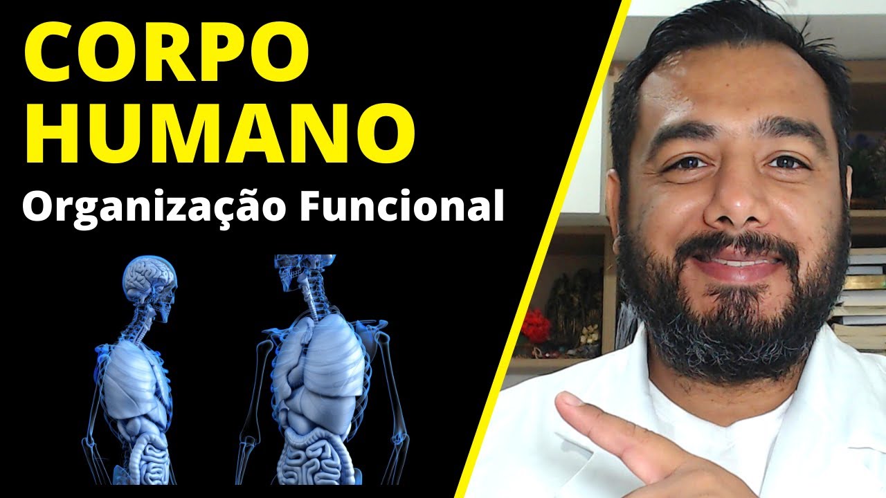 Como o corpo humano é organizado? Qual a organização funcional do corpo humano? Assista ao vídeo!