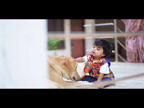 Veeran Interaction with Dogs
