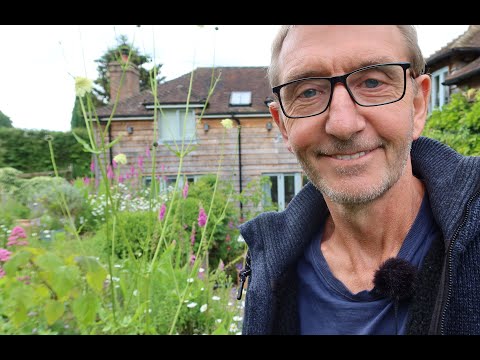 Why not 'rewild' your garden? (June 2024)