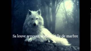 La Mort Du Loup