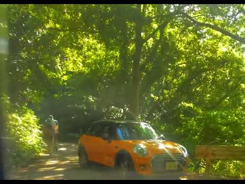 ビデオ: このボビーカーはあなたの車よりも速くレースします