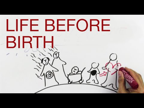 LIFE BEFORE BIRTH explained by Hans Wilhelm