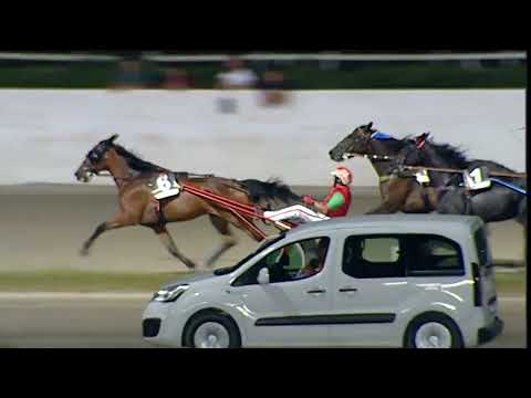 Napoli Trotto 02/07/2023 - 5ª corsa