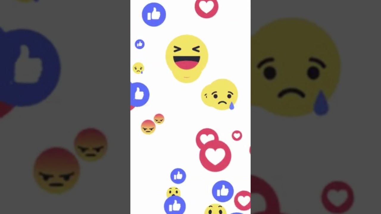 Graphic Design | Web Development | SEO | Content Writing | App Design | Social Media | Marketing