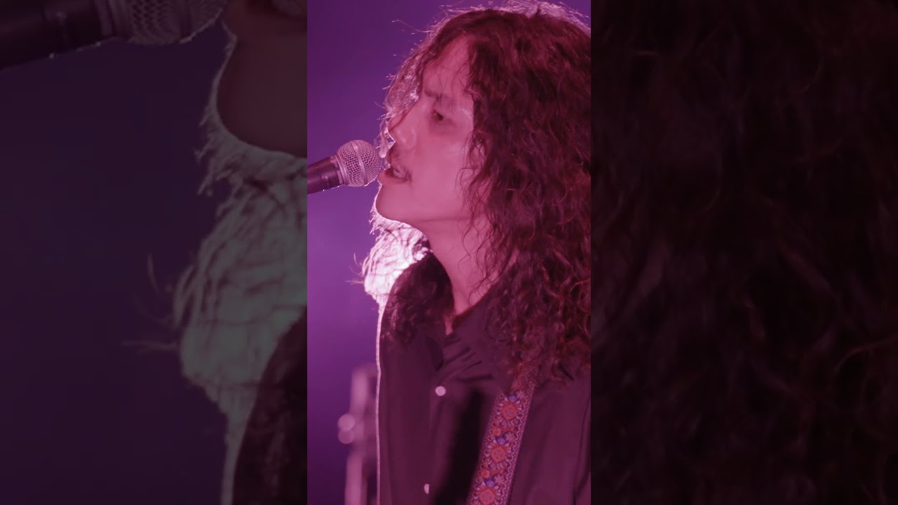 kanekoayano World Tour 2026 #kanekoayano #live  #カネコアヤノ