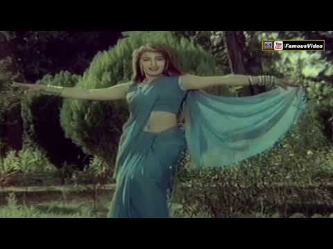 PYAR MENU KARAY GA TE PHUL BANJAWANGI - REEMA - FILM CHAUDHARY BADSHAH