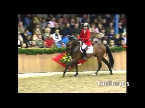 Schockemoehle Hengstkollektion 2014 Conthargos english