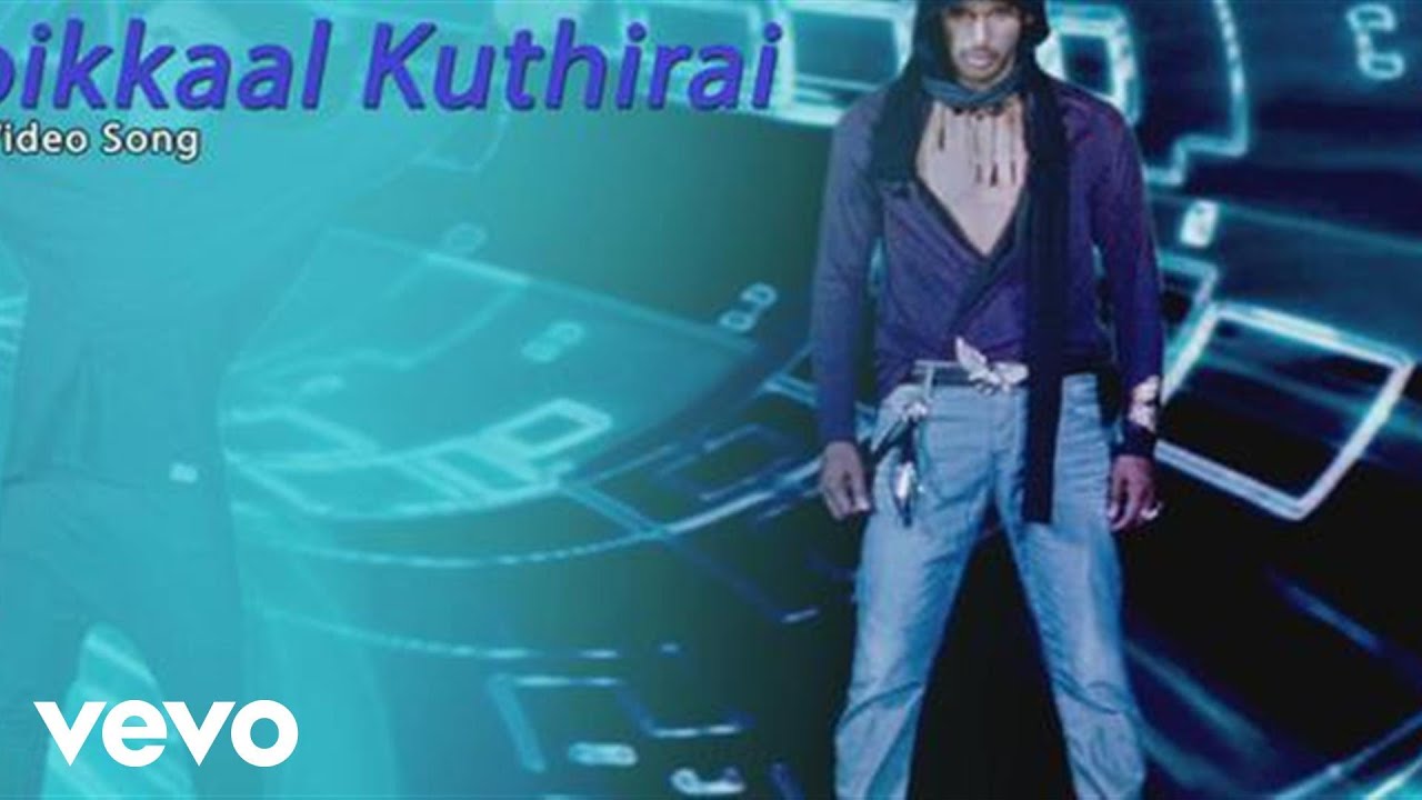 Poikkaal Kuthirai Lyrics  | Samar | Sunaina, Trisha Krishnan, Vishal | Yuvan Shankar Raja | Yuvan Shankar Raja