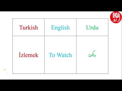 Top 20 Most Used Verbs (Fiiller) in Turkish Language|Learn Turkish Language From Urdu/Hindi Lesson.