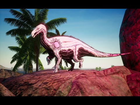 Lurdu Fight Compilation - (1.3 - 2.5)