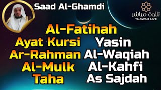 Download lagu Al Fatihah,Ayat Kursi,Surah Yasin,Ar Rahman,Al Waqiah,Al Mulk,Al Kahfi,Taha,As Sajdah,Saad Al-Ghamdi mp3