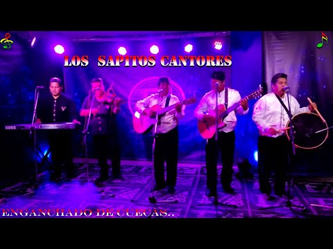 Sapitos Cantores (Enganchado de Cuecas) Los Mejores Éxitos