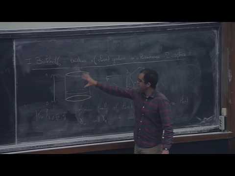 L. Mazet - Some aspects of minimal surface theory (Part 4)