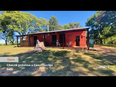 LA PORTA - Chacra en venta en Constitución, Salto.