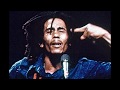 Bob Marley & the Wailers - Ambush In The Night Alternative Rare Unheard Version Happy Birthday Nesta