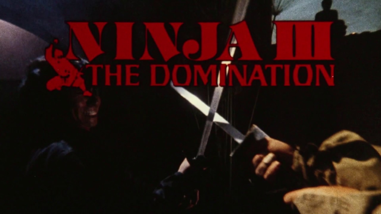 Ninja III : The Domination