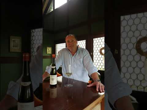 Schiefer Riesling, Weingut Nik Weis - St. Urbans-Hof | weinhelden.de