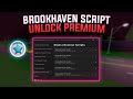 Brookhaven Script Premium Unlock Gamepass No Key OP Script Shife 3