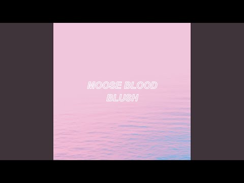 Shimmer - Moose Blood
