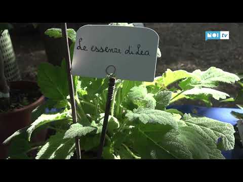 Murabilia, si chiude con con successo la XX edizione