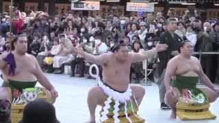 Dezuiri - Sumo Ring-Entry Ritual with 3 Yokozuna 2015