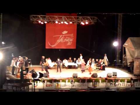 Husľovačka (Muzička a ďalší) - Jánošíkove dni 2011