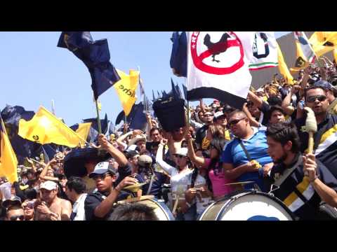 "Esto es PUMAS !!" Barra: La Rebel • Club: Pumas