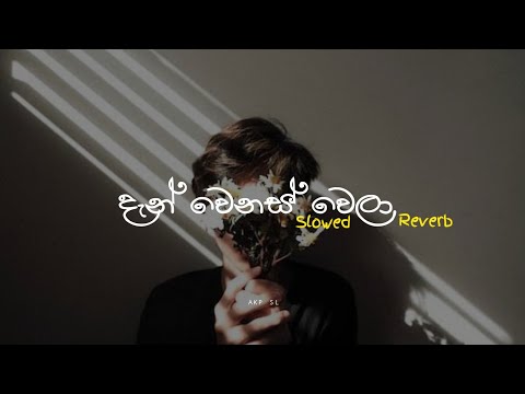 Dan wenas wela | දැන් වෙනස් වෙලා | Slowed + Reverb | 🍒✨