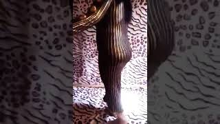 وديع وفيروز سهره حب تحميل اغاني مجانا