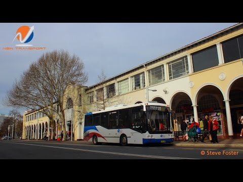 CDC: QCity Transit 7552 MO: MAN 12.220 (ZF/Custom Coaches CB30)