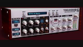 Video thumbnail for Toraverb 2 - great reverb plugin by D16 Group by Bart