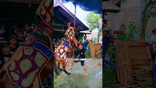 Download lagu sang pawang bergelantung di perut kuda renggong #shorts #kudarenggong #kudasilat mp3