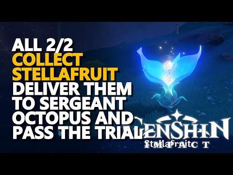 Collect Stellafruit deliver them to Sergeant Octopus and pass the trial Genshin Impact