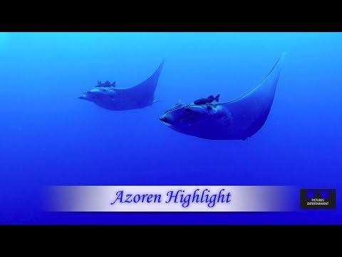 Azoren Highlights