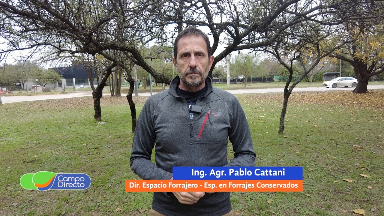 Campo Directo |  Consideraciones para no fallar a la hora de hacer silajes combinados