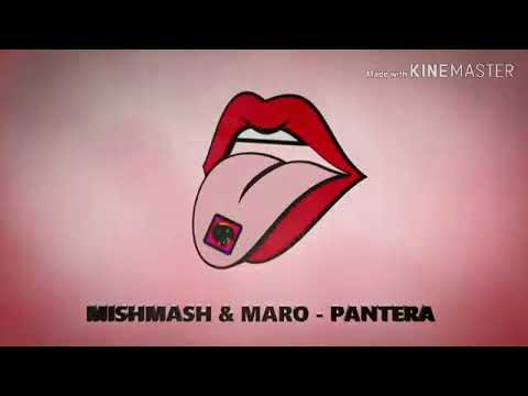 Mishmash x maro- Pantera