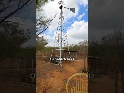 FUNDO UBICADO EN EL SECTOR MISARAY DE LA PARROQUIA SANTA ANA MUNICIPIO CARIRUBANA DEL FALCÓN