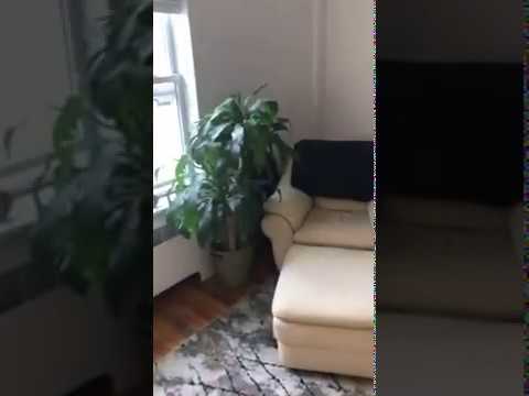 Brock St. & Washington Street #3 - Video 7 of 7