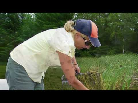 Cadillac News Quick News Update Ep 84