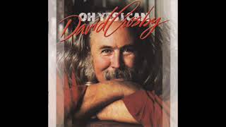 David Crosby –  Tracks In The Dust