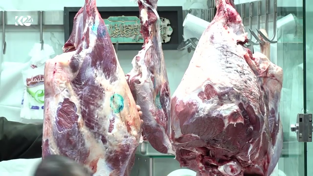 ڤیدیۆ | نرخى گۆشتى سوور چەند رۆژیکە لە بازاڕەکان بە هەردوو جۆرەکەیەوە بەرزبووتەوە
